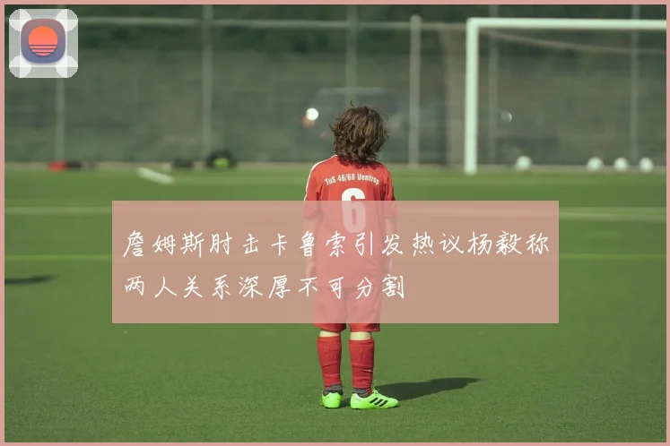 詹姆斯肘击卡鲁索引发热议杨毅称两人关系深厚不可分割