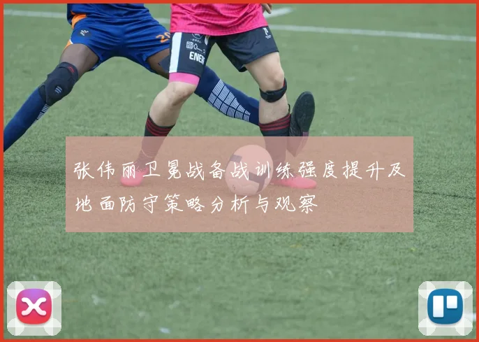 张伟丽卫冕战备战训练强度提升及地面防守策略分析与观察