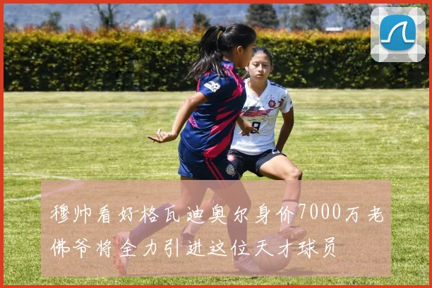 穆帅看好格瓦迪奥尔身价7000万老佛爷将全力引进这位天才球员