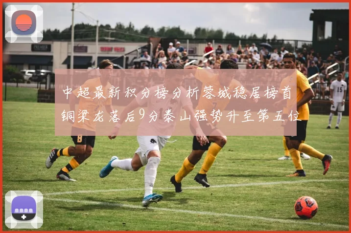中超最新积分榜分析蓉城稳居榜首铜梁龙落后9分泰山强势升至第五位津门虎积分清零